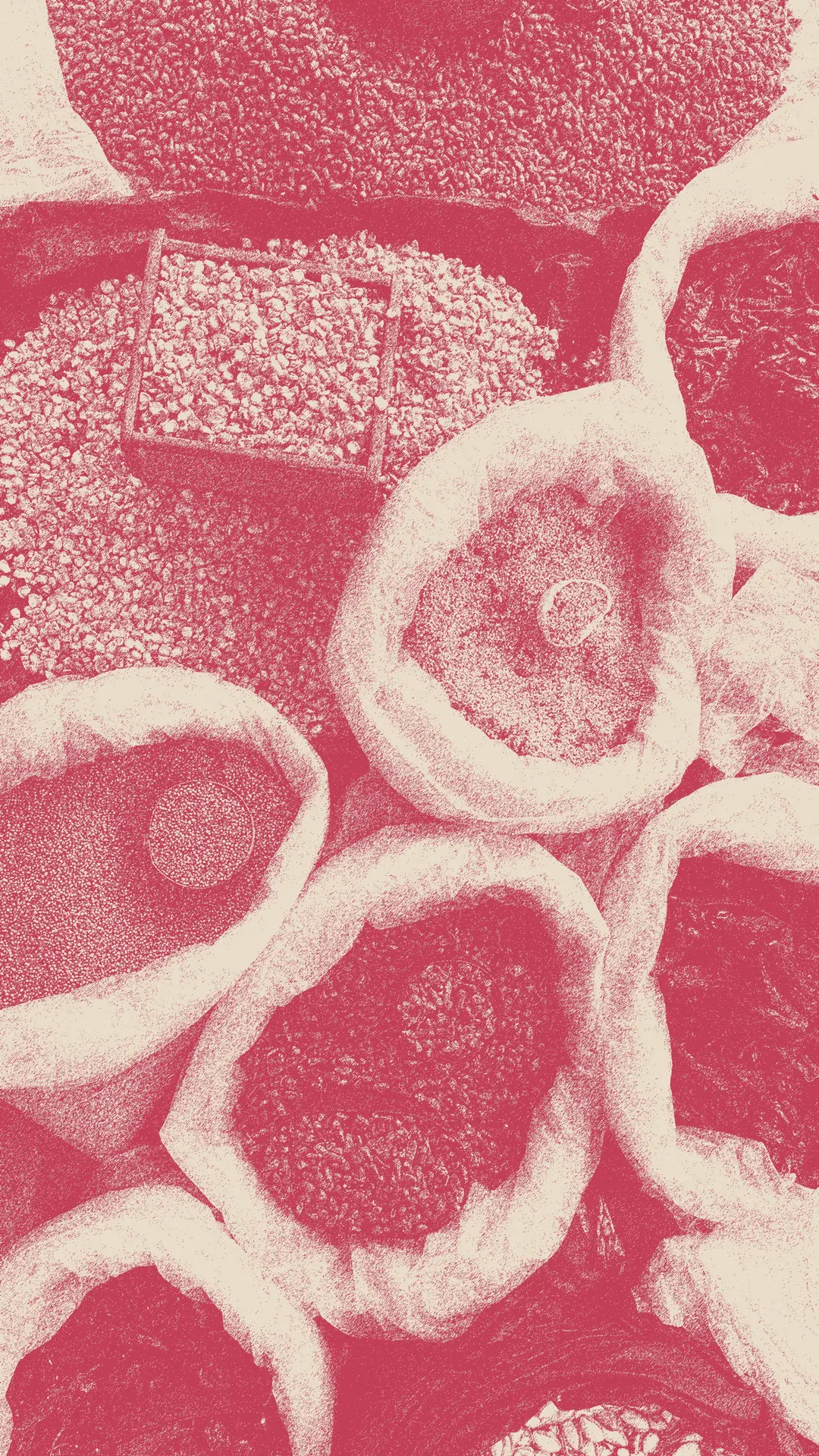 Especias mexicanas tradicionales